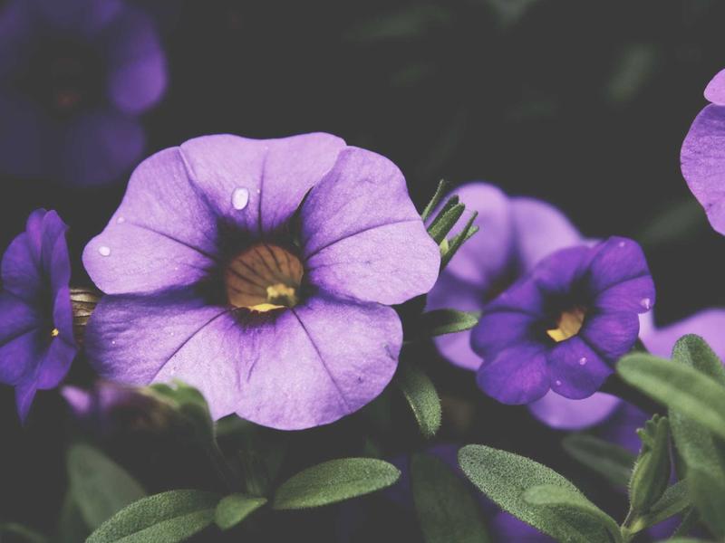 sudoku lifetime access screenshot 1