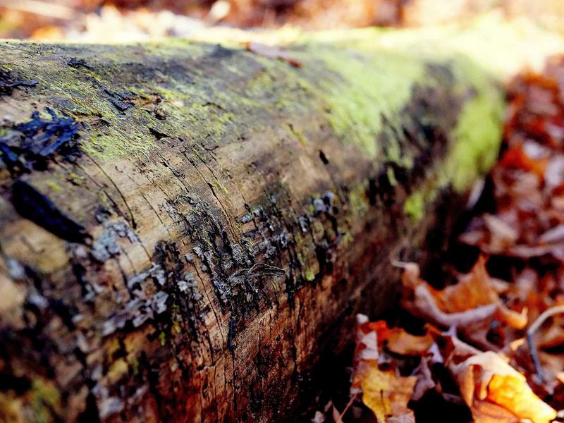 sudoku lifetime access screenshot 5